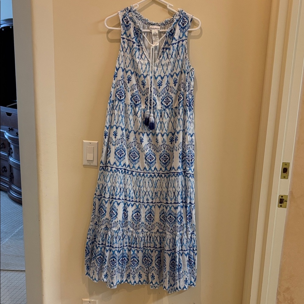 Blue and White Sleeveless Maxi Dress